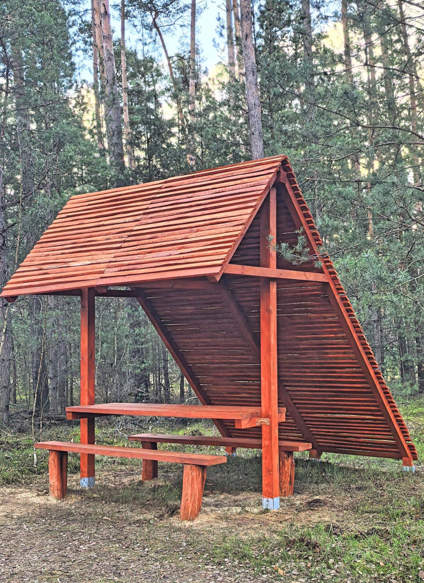 Nowy leśny punkt odpoczynku (LPO)